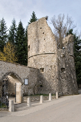 MUSEO DELLA CERTOSA